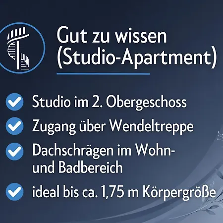 Appartementhaus Gutenberg In - Ruhig & Zentral - Parkplatz Am Haus - & Fusslaeufig * ビンツ