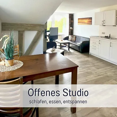 公寓 Appartementhaus Gutenberg In - Ruhig & Zentral - Parkplatz Am Haus - & Fusslaeufig 宾茨